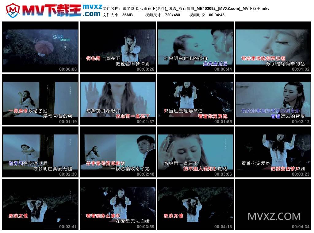 张宁益-伤心雨在下(消伴)_国语_流行歌曲_MB103092